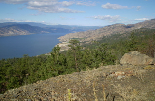 View from rail bed looking north, Kettle Valley Railway Naramata to Glen Fir, 2010-10.